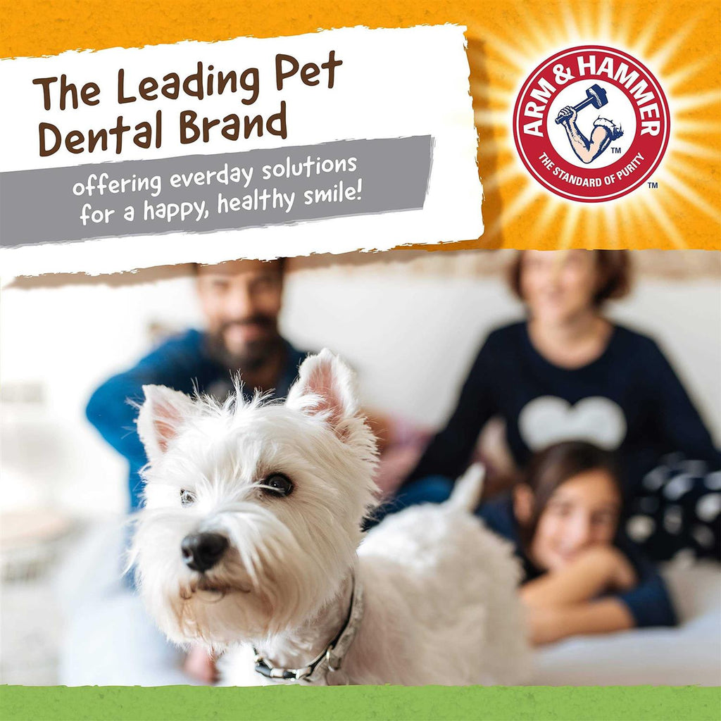 Dog Dental Toy D698239