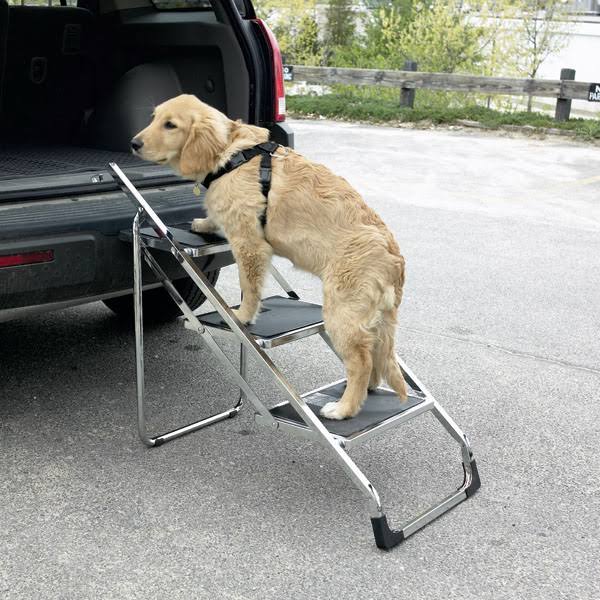 Pet Tub Stairs A29893