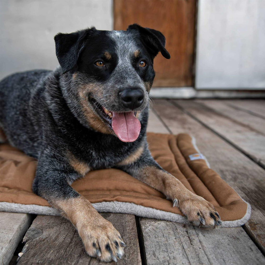 Dog Pad X947