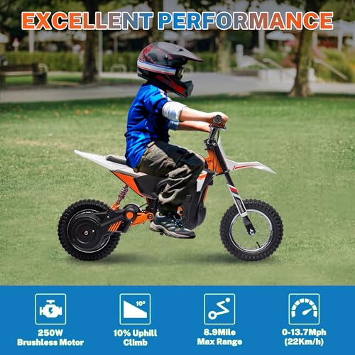 24V 250W Kids Electric Dirt Bike with Air-Filled Tires F3632