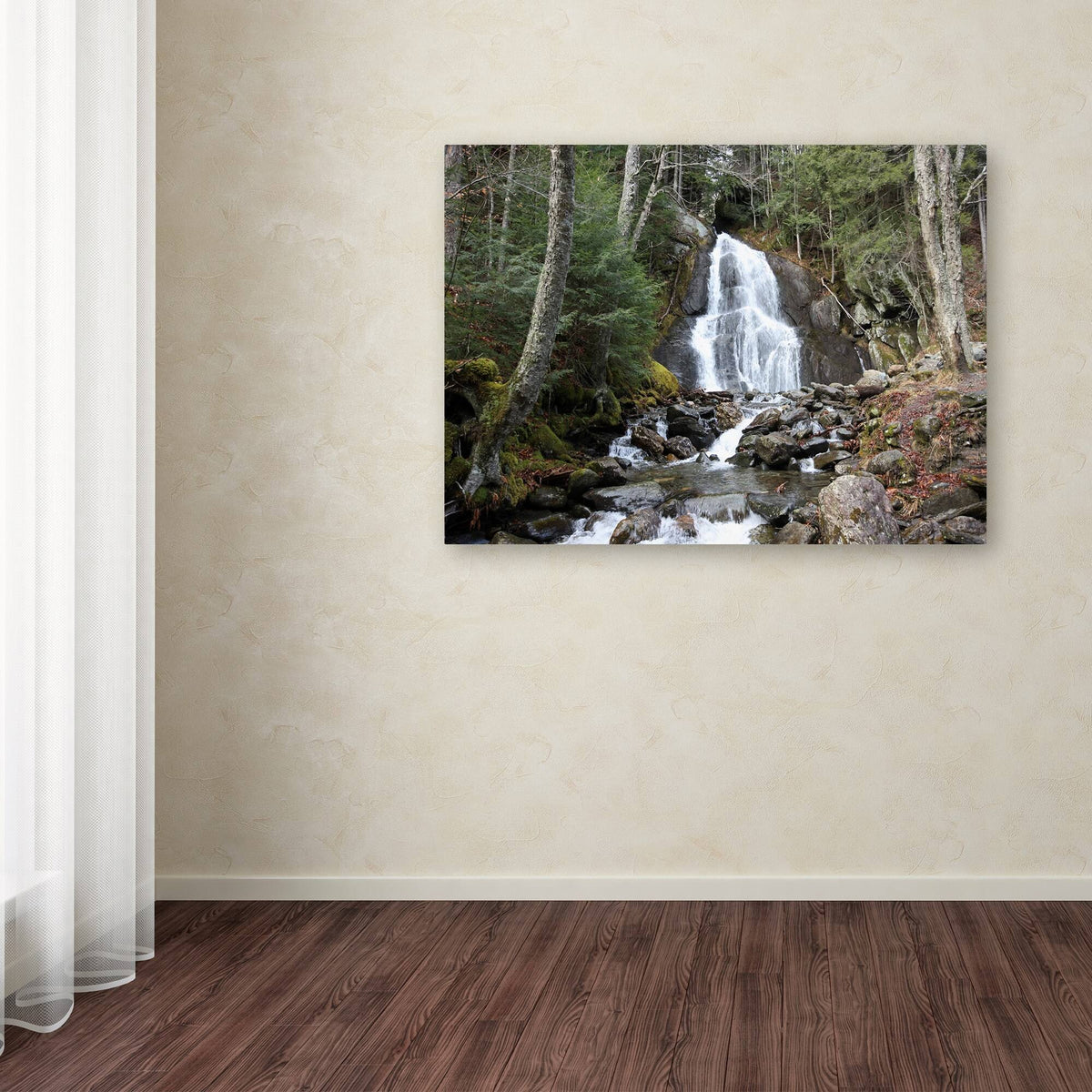 Canvas Z878