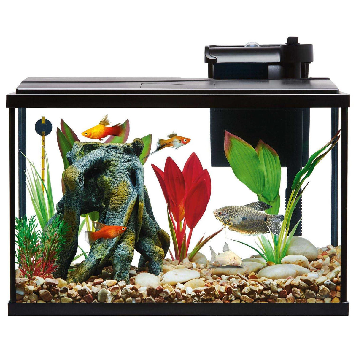 Aquarium Tank Starter Kit F35157