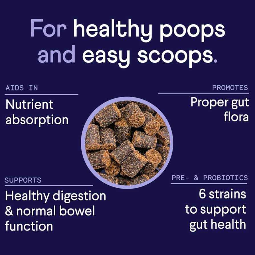Probiotics Supplement for Dogs M284