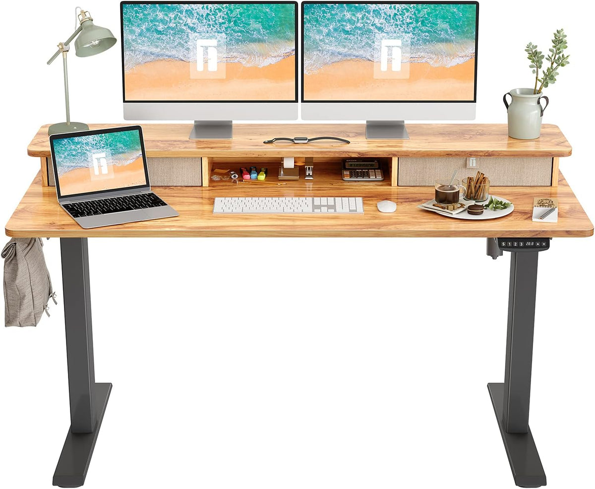 48 x 24 Inch Electric Standing Desk with Double Drawer and Storage Shelf I620