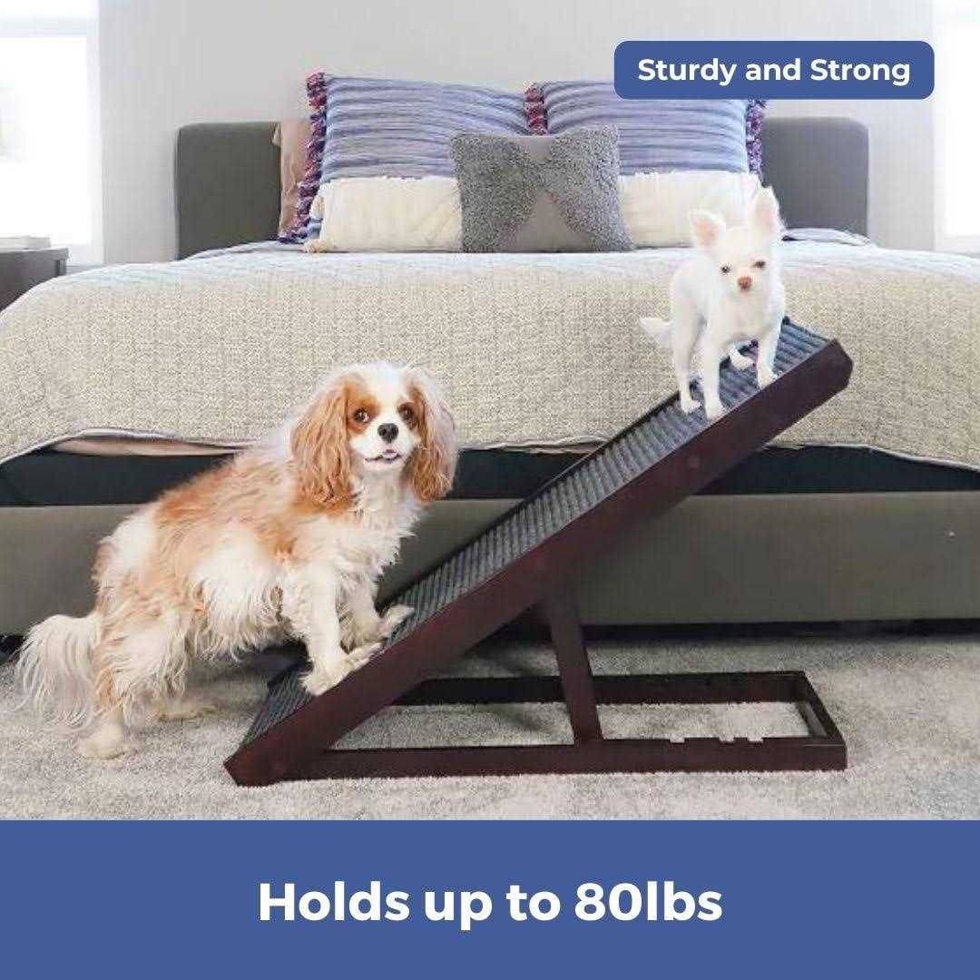 Natural Wood PawRamp for Small & Large Dogs O686925