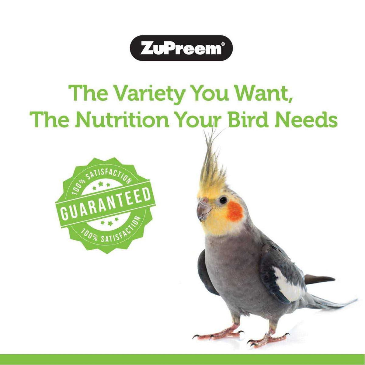 Medium Birds Bird Food K673123