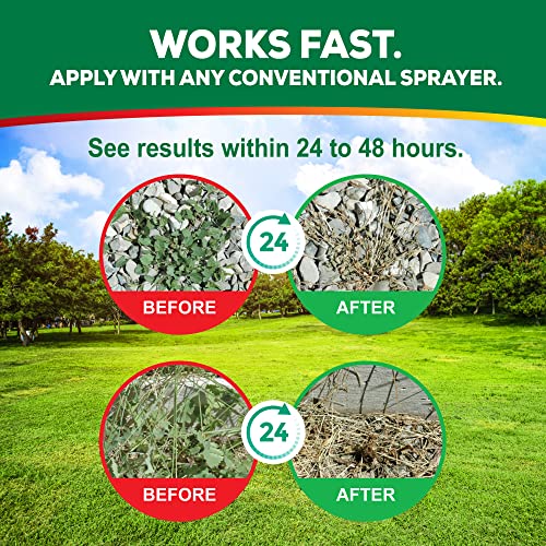 Weed Killer Concentrate E587912
