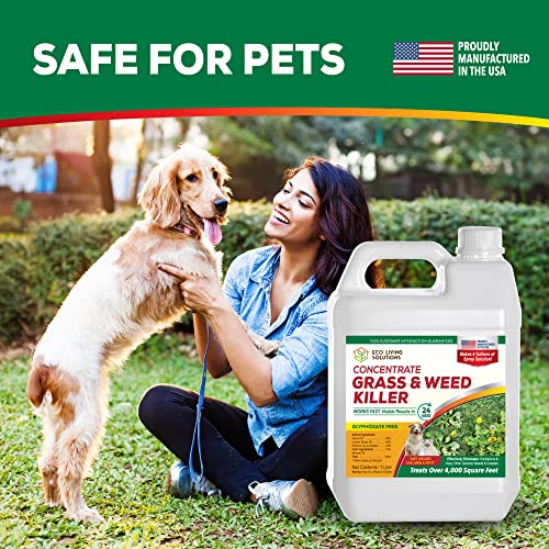 Weed Killer Concentrate E587912