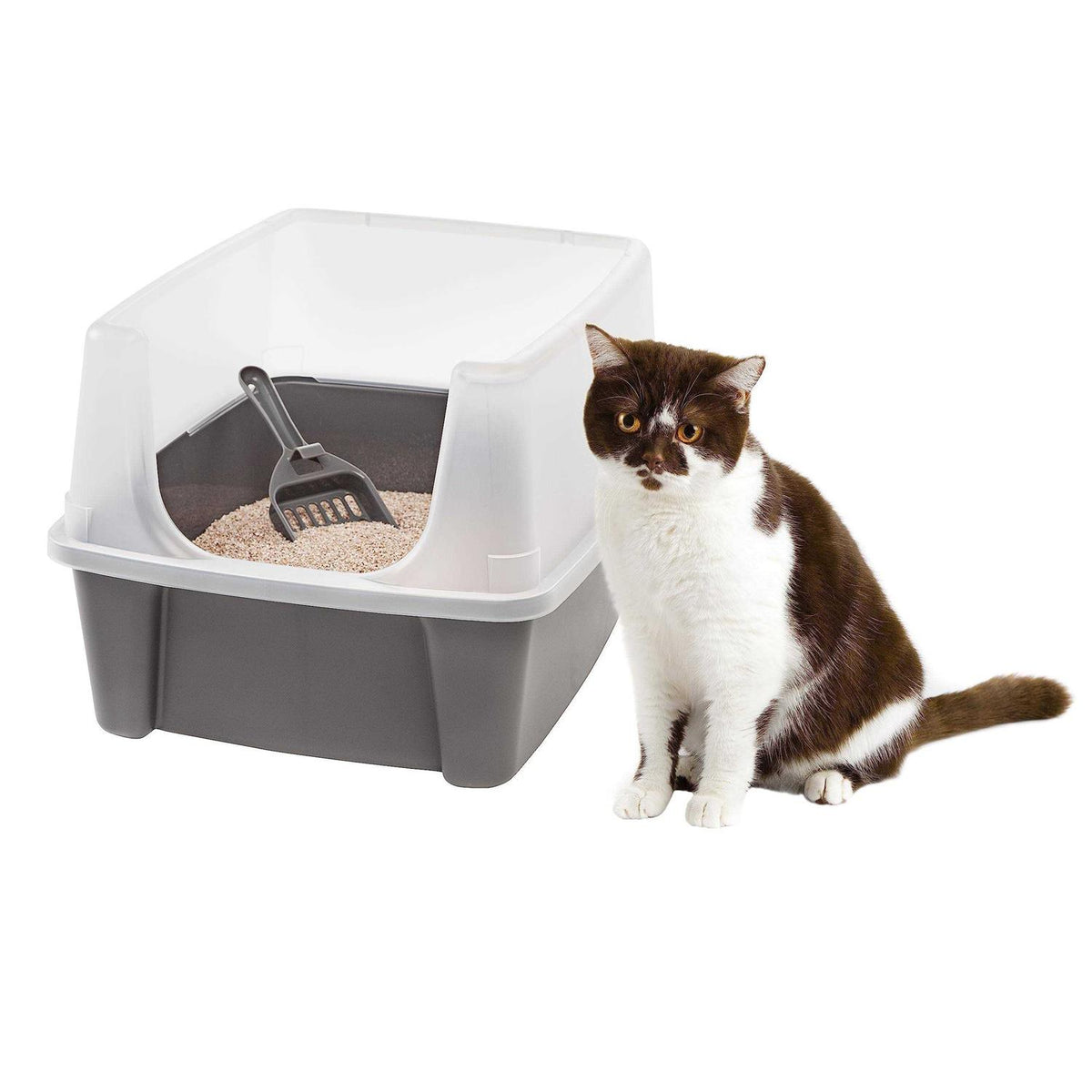Open Top Cat Litter Box with Shield and Scoop N40570