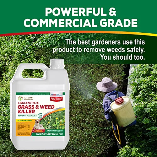 Weed Killer Concentrate E587912