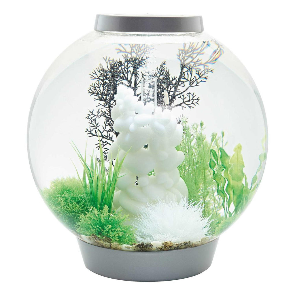 Classic 60 Aquarium with LED N477754