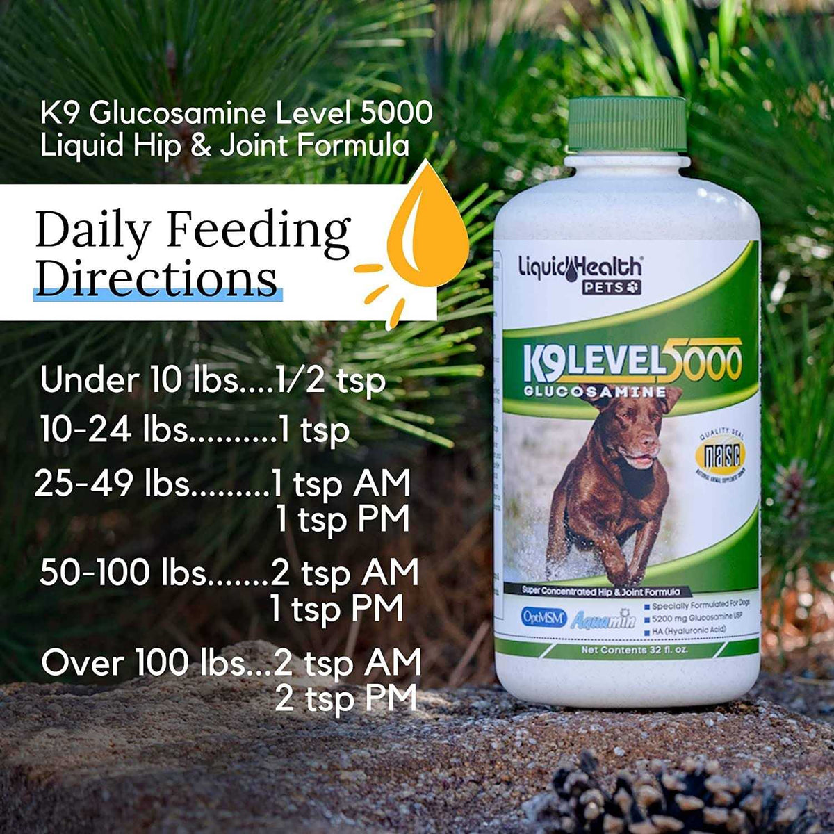 Liquid Glucosamine Y28977
