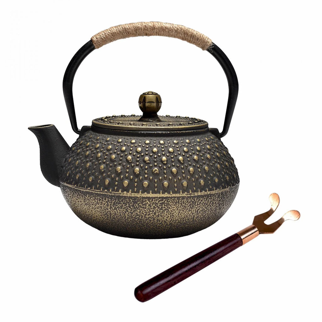 Cast Iron Teapot Tea Kettle Q32986
