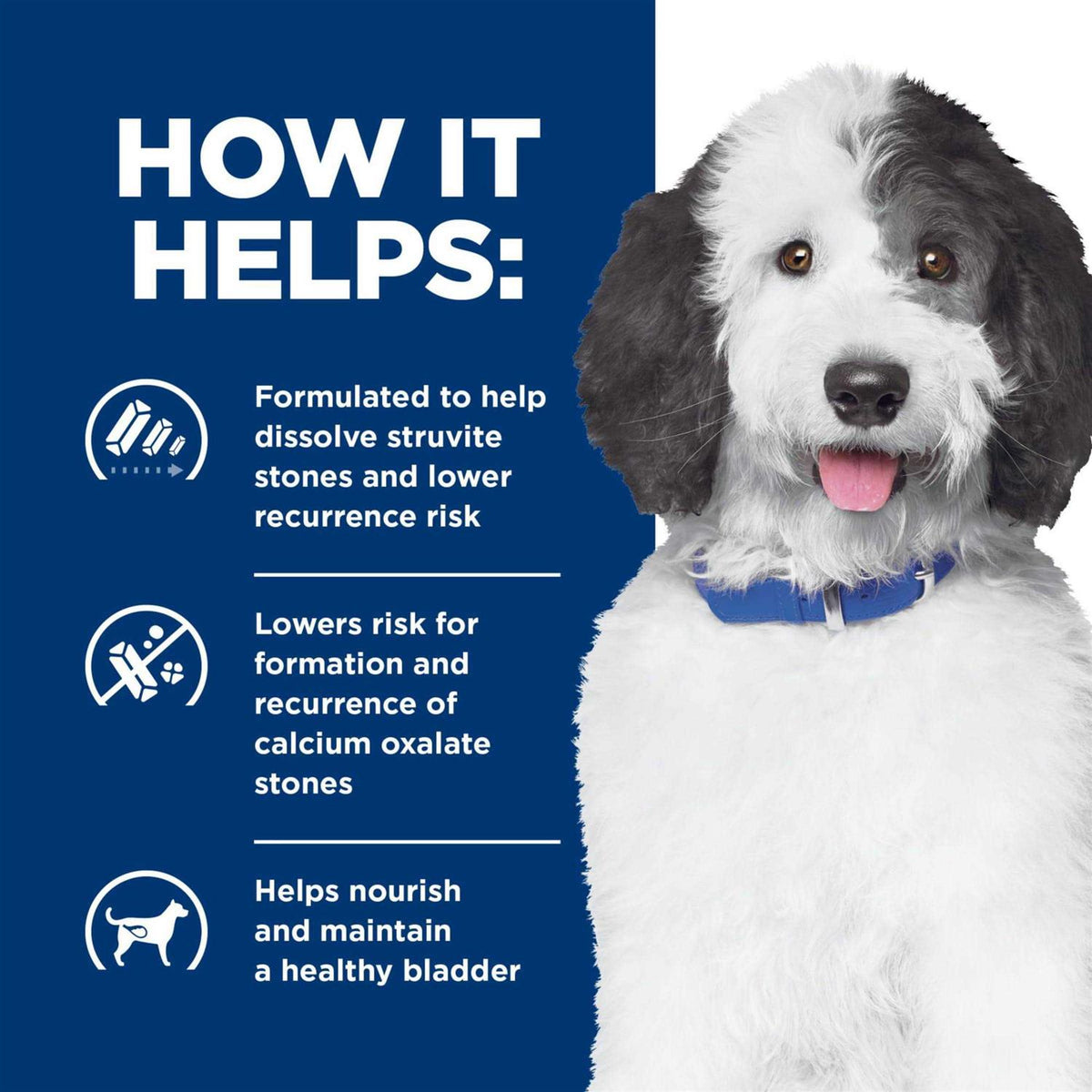 Prescription Diet c/d Dog Food X42775