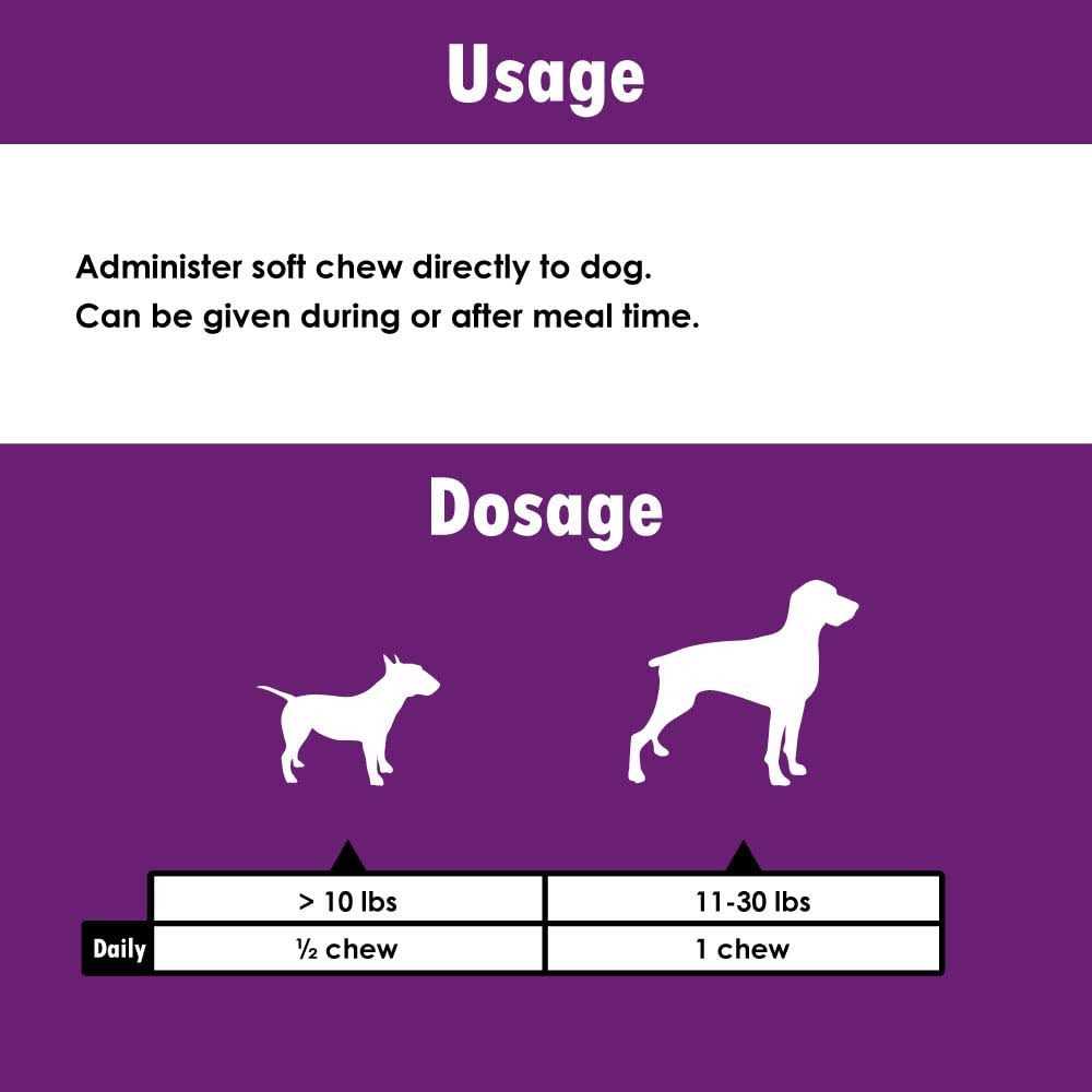 Cognitive Function Dogs O1782