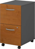 2 Drawer Mobile File Cabinet U6161