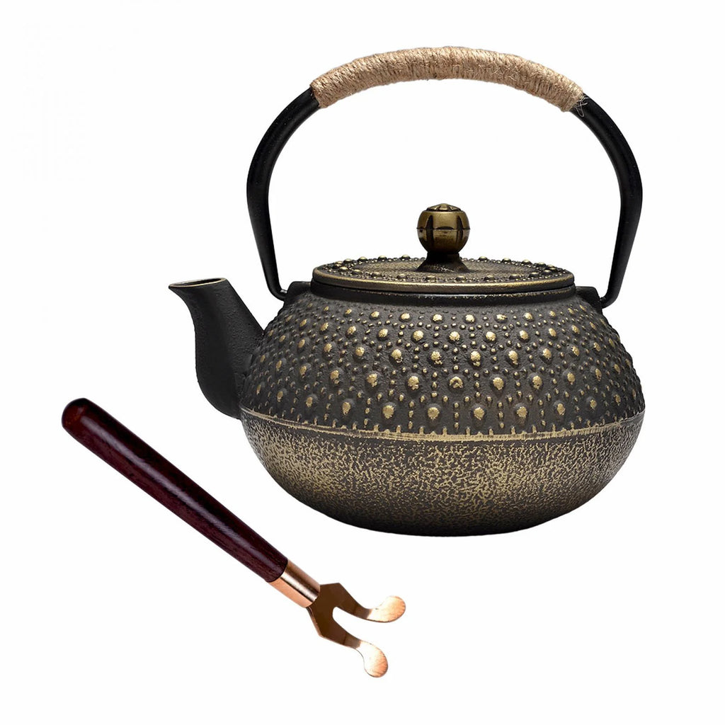 Cast Iron Teapot Tea Kettle Q32986