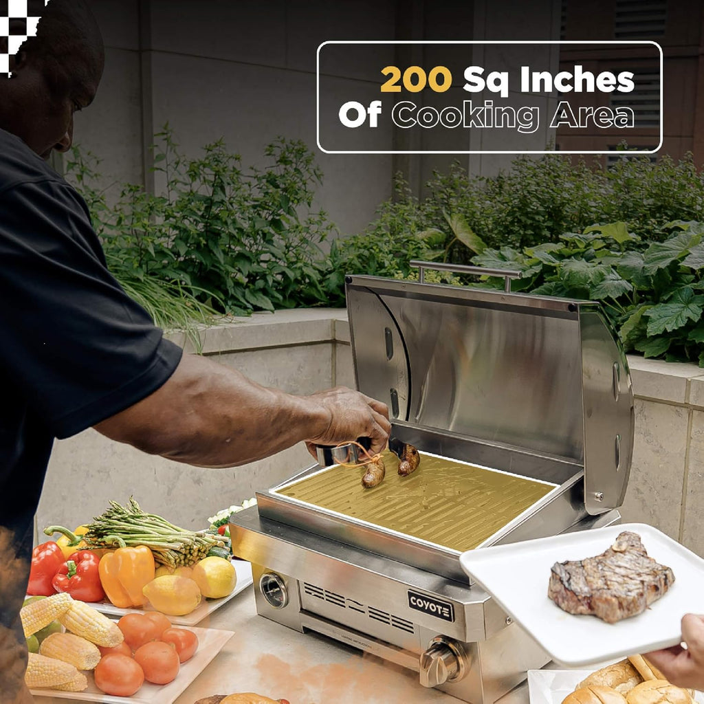 Portable Gas Grill S260