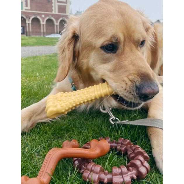 Dog Chew Toy Bundle N9444