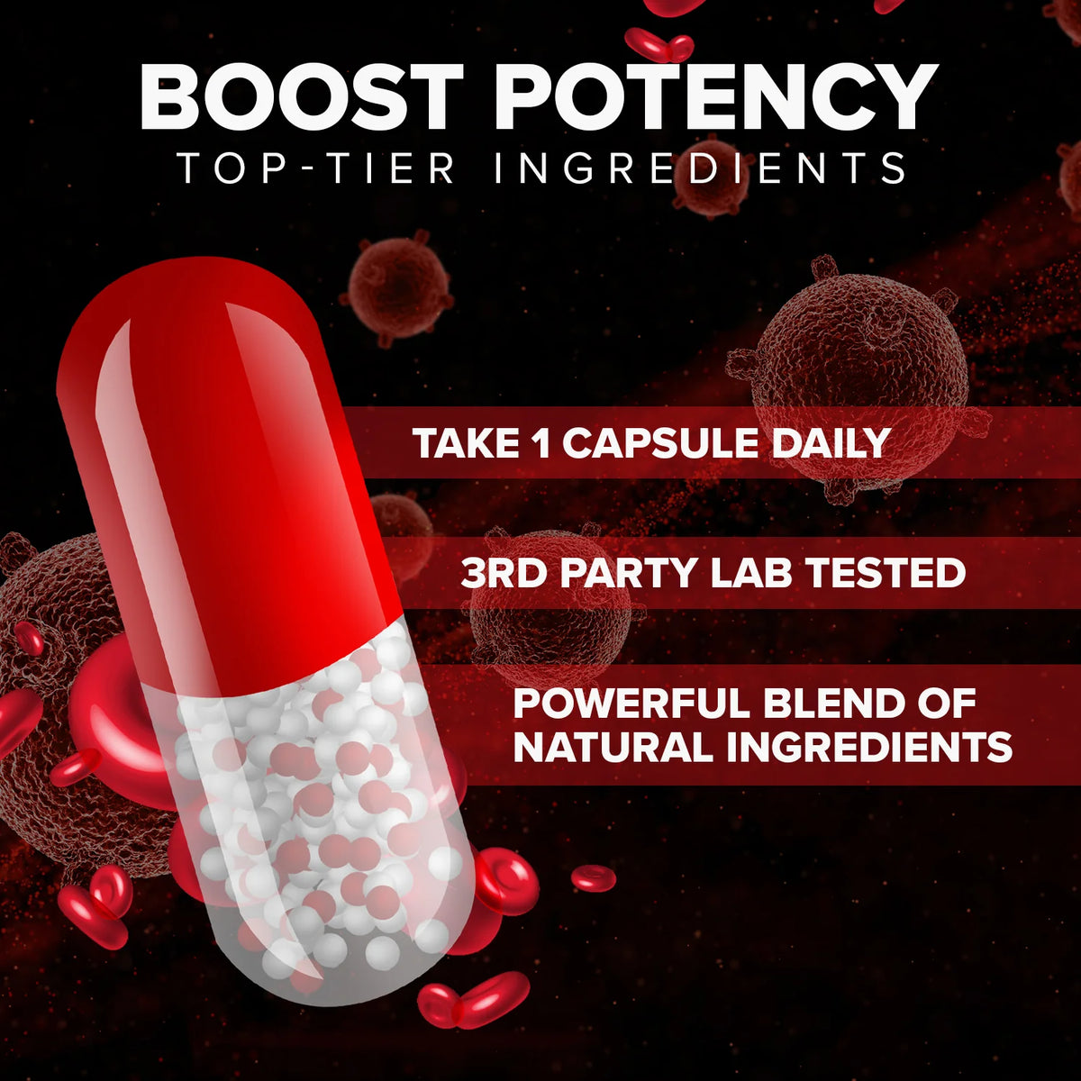 Blood Support Capsules L550