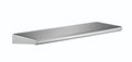 Stainless Steel Shelf G980047