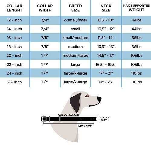 Genuine Embossed Italian Leather Dog Collar I957