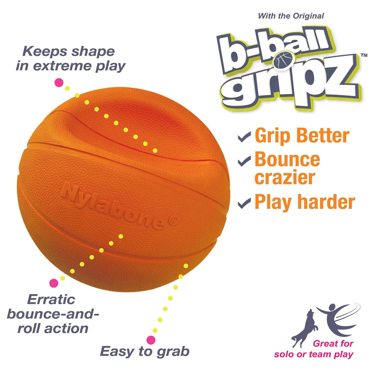 Dog Toy P278814