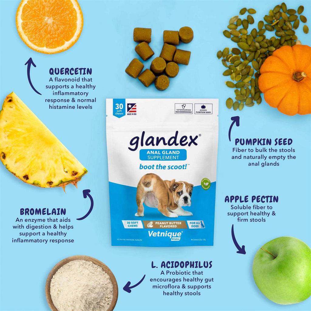 Anal Gland Soft Chews Supplement for Dogs Q284