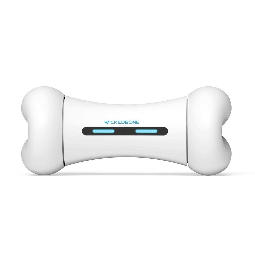 Automatic Interactive Dog Toys B30764
