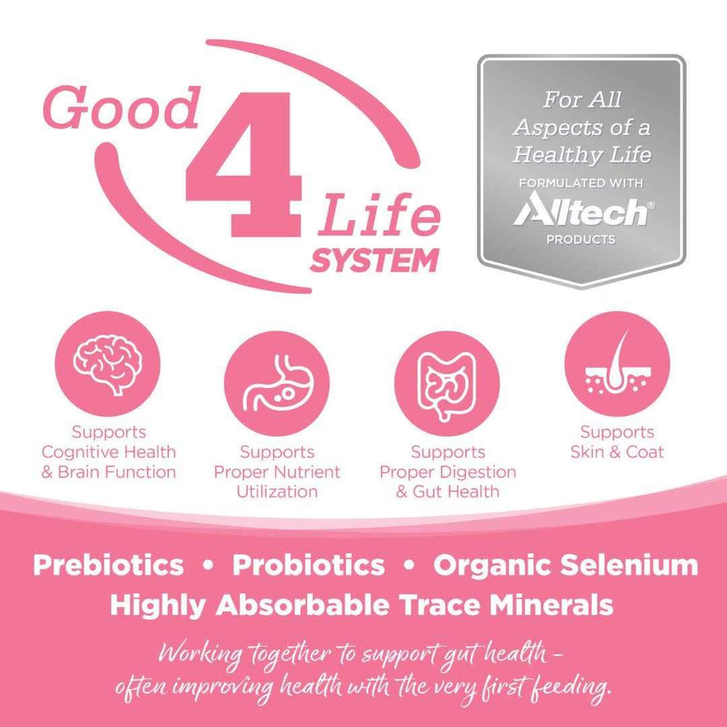 Grain Free Salmon Dog Food V576030