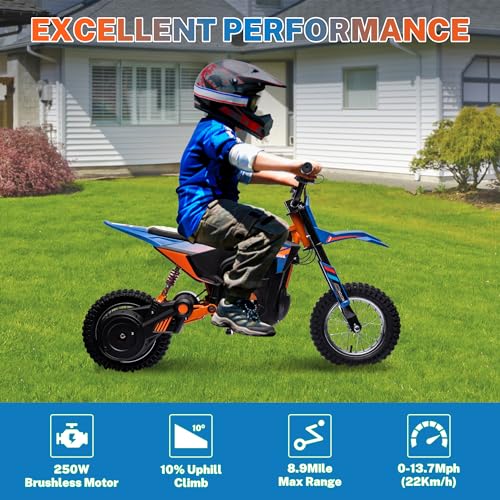 24V 250W Kids Electric Dirt Bike with Air-Filled Tires F3632
