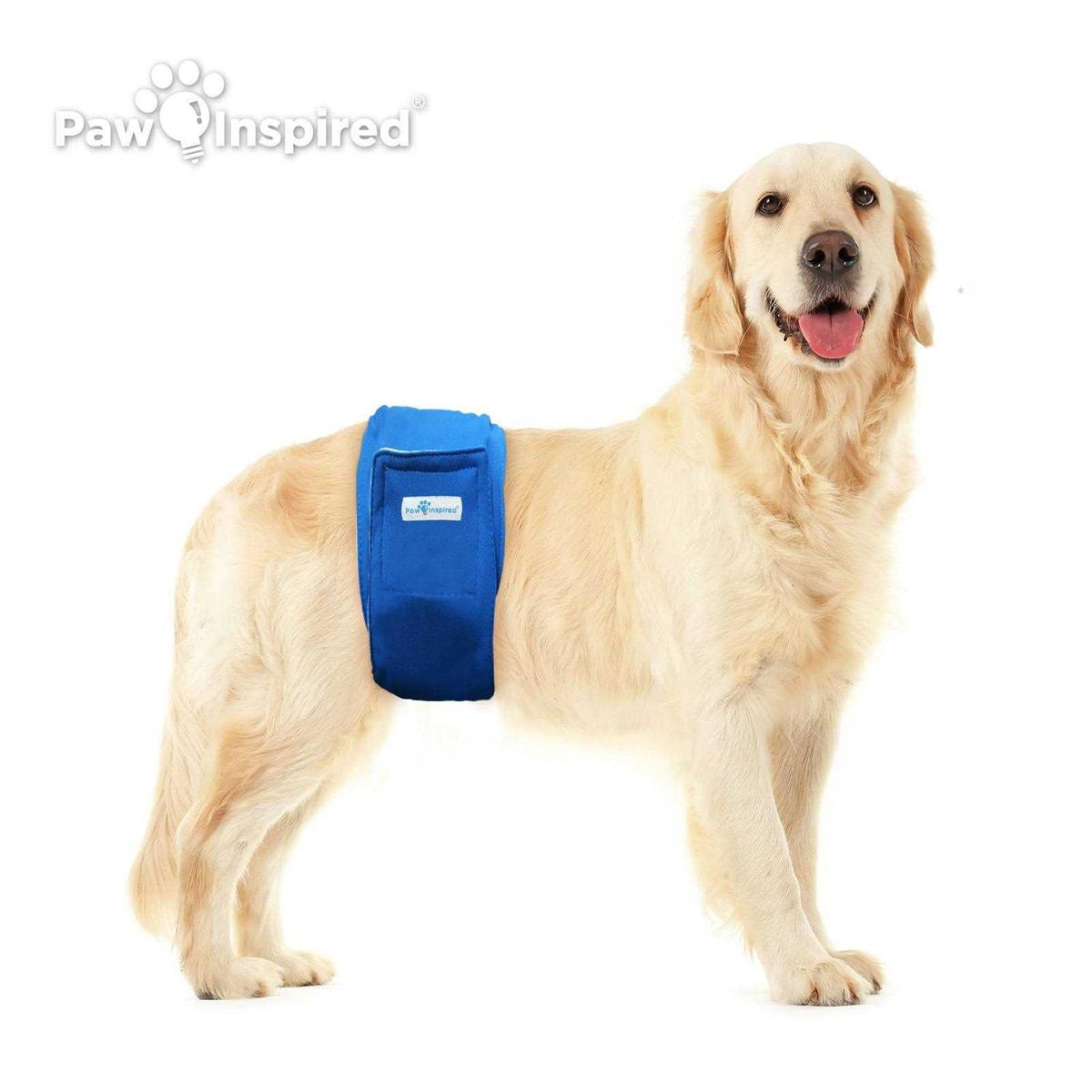 Washable Dog Belly Band L88233