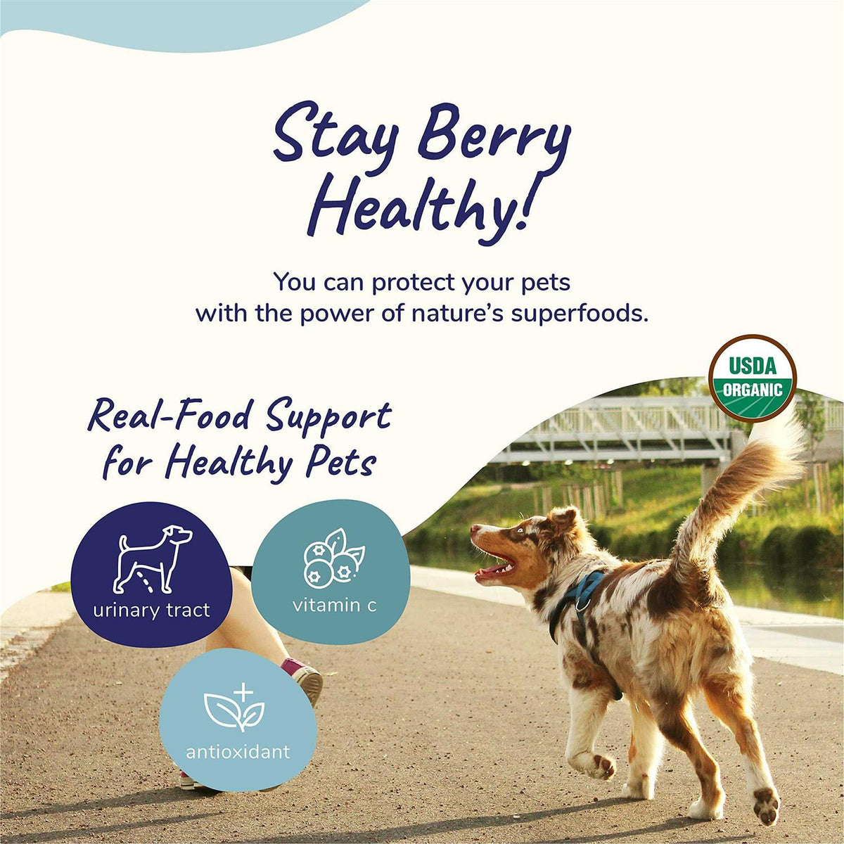 Healthy Immunity for Dogs and Cats U999