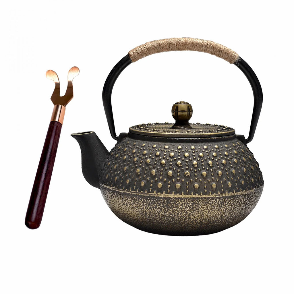 Cast Iron Teapot Tea Kettle Q32986