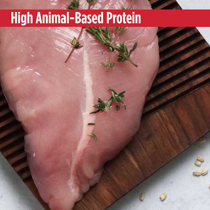 Turkey Small Breed Adult Dry Dog Food W2826
