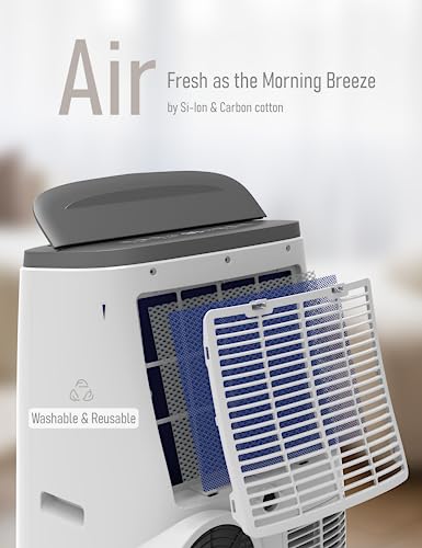 Portable Air Conditioner B967