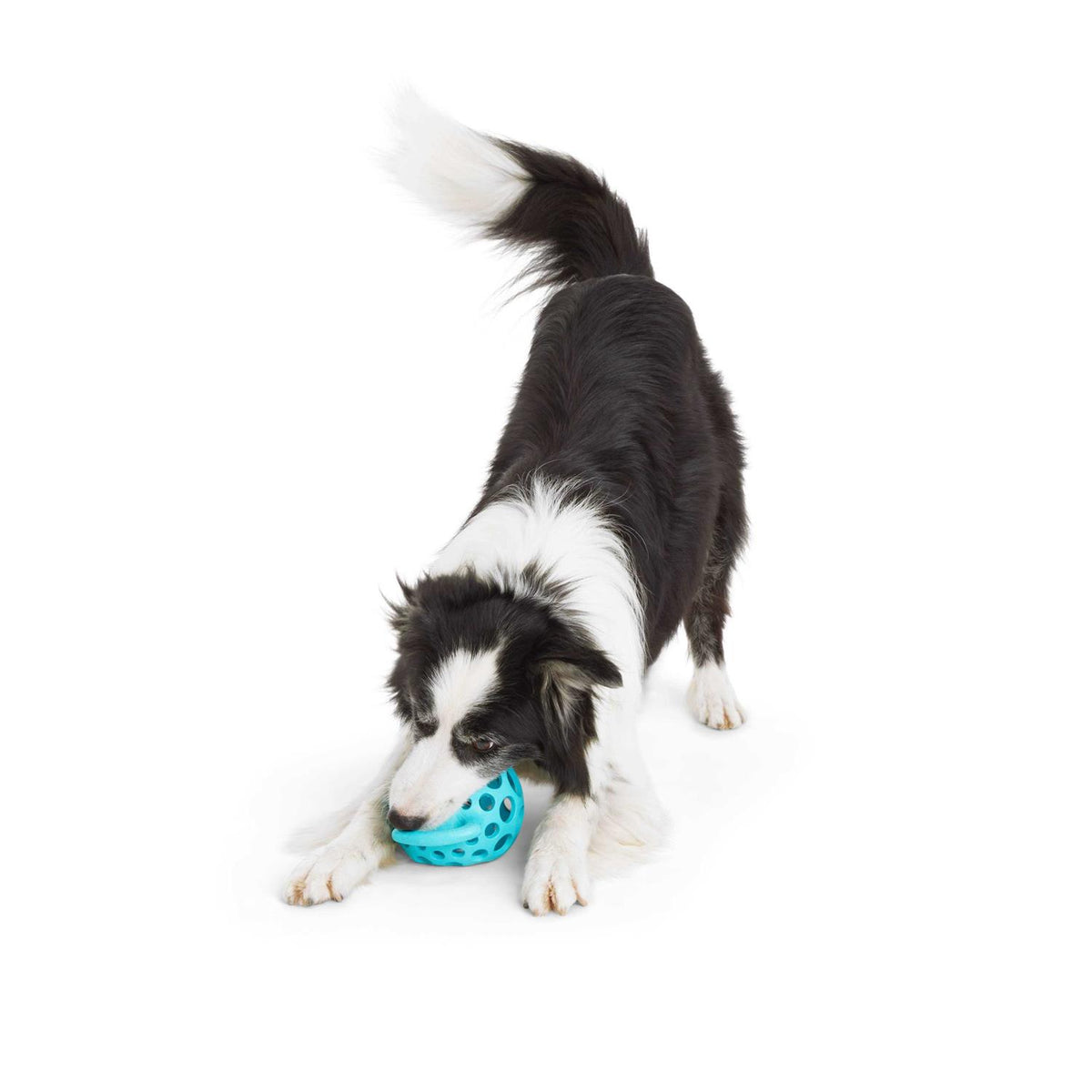 Cage Ball with Handle Dog Toy G8307