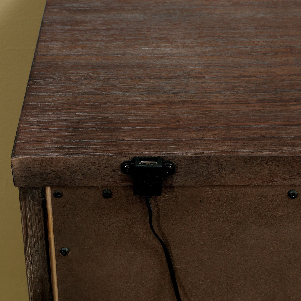 Solid Wood 2-Drawer Nightstand with USB L356