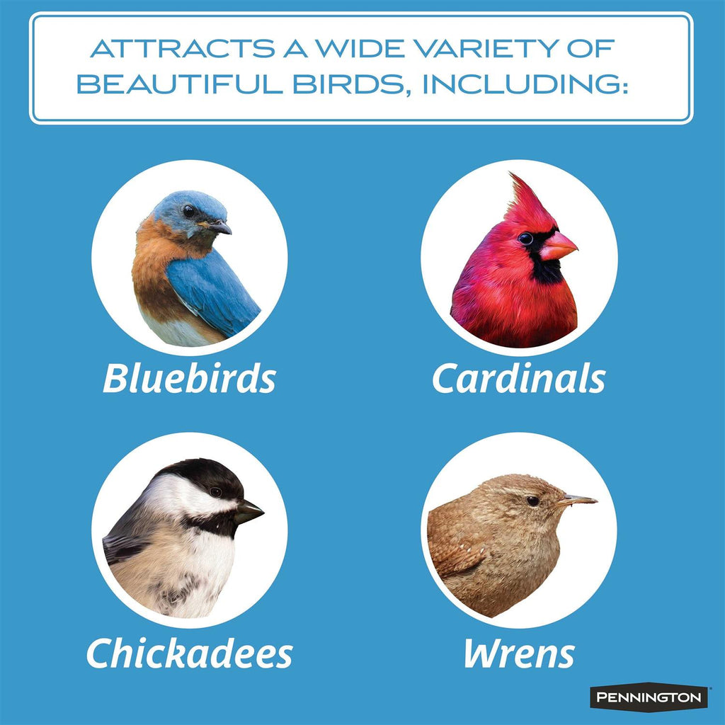 Mealworms Wild Bird Food K9488