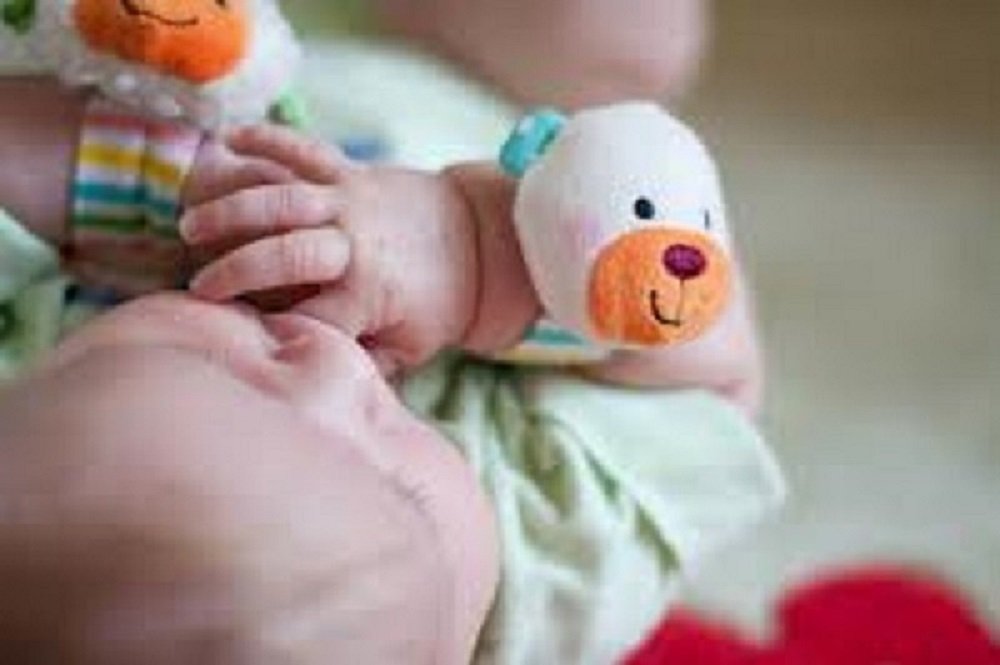 Wrist Rattles E6799