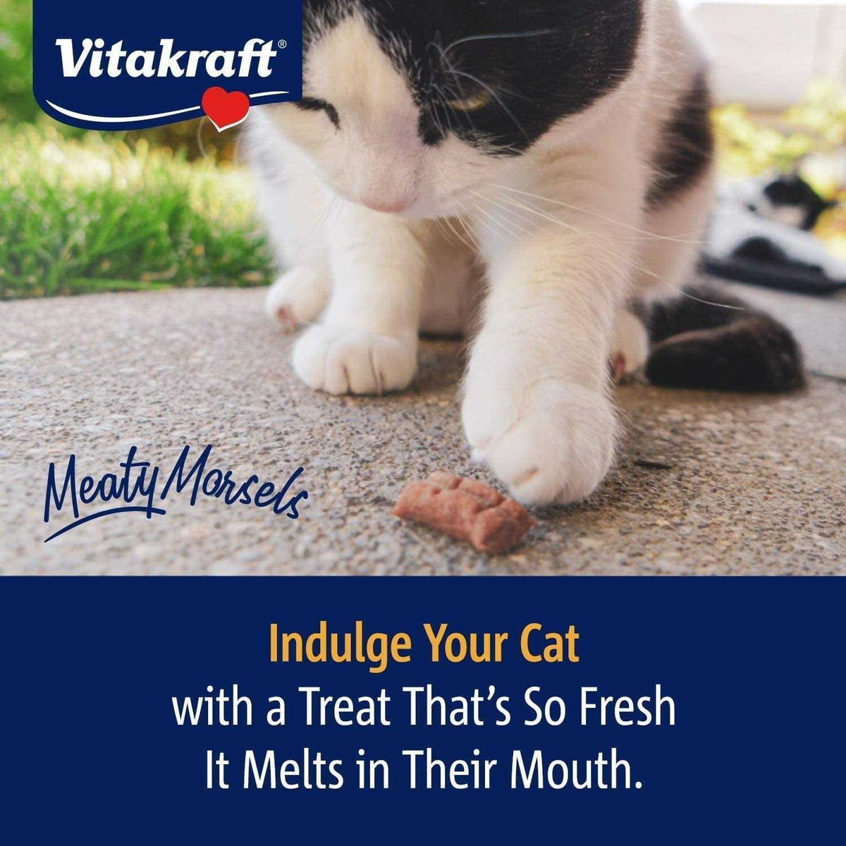 Chicken Salmon Cat Treat T19423