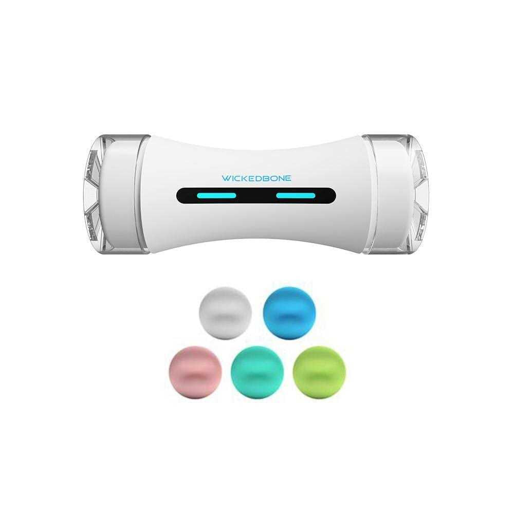 Automatic Interactive Dog Toys B30764