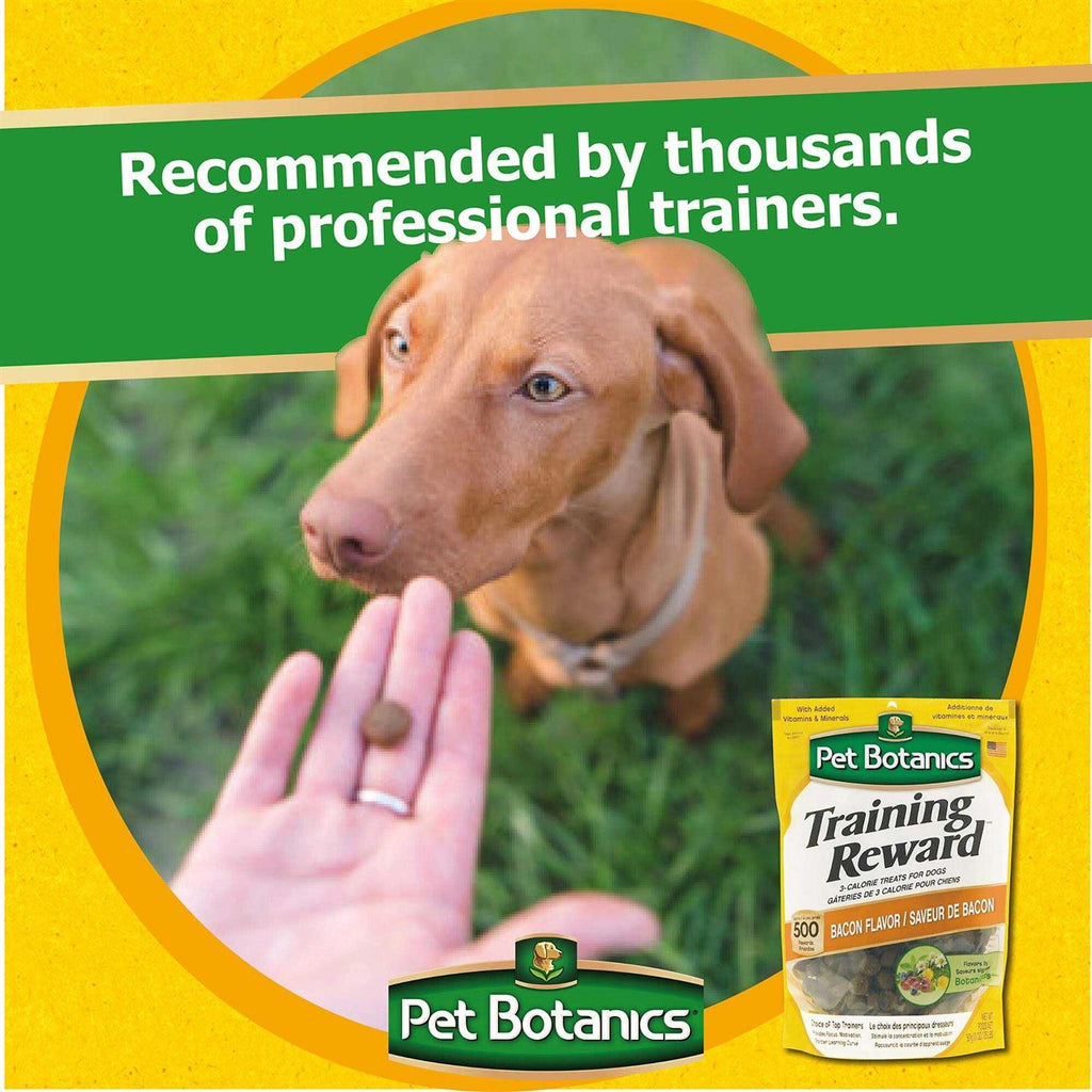 Bacon Dog Treats F99130