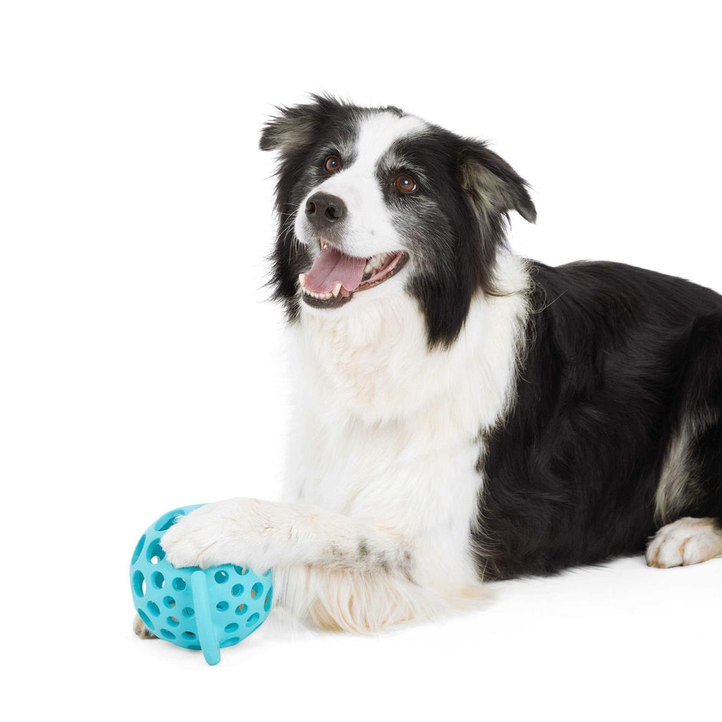 Cage Ball with Handle Dog Toy G8307