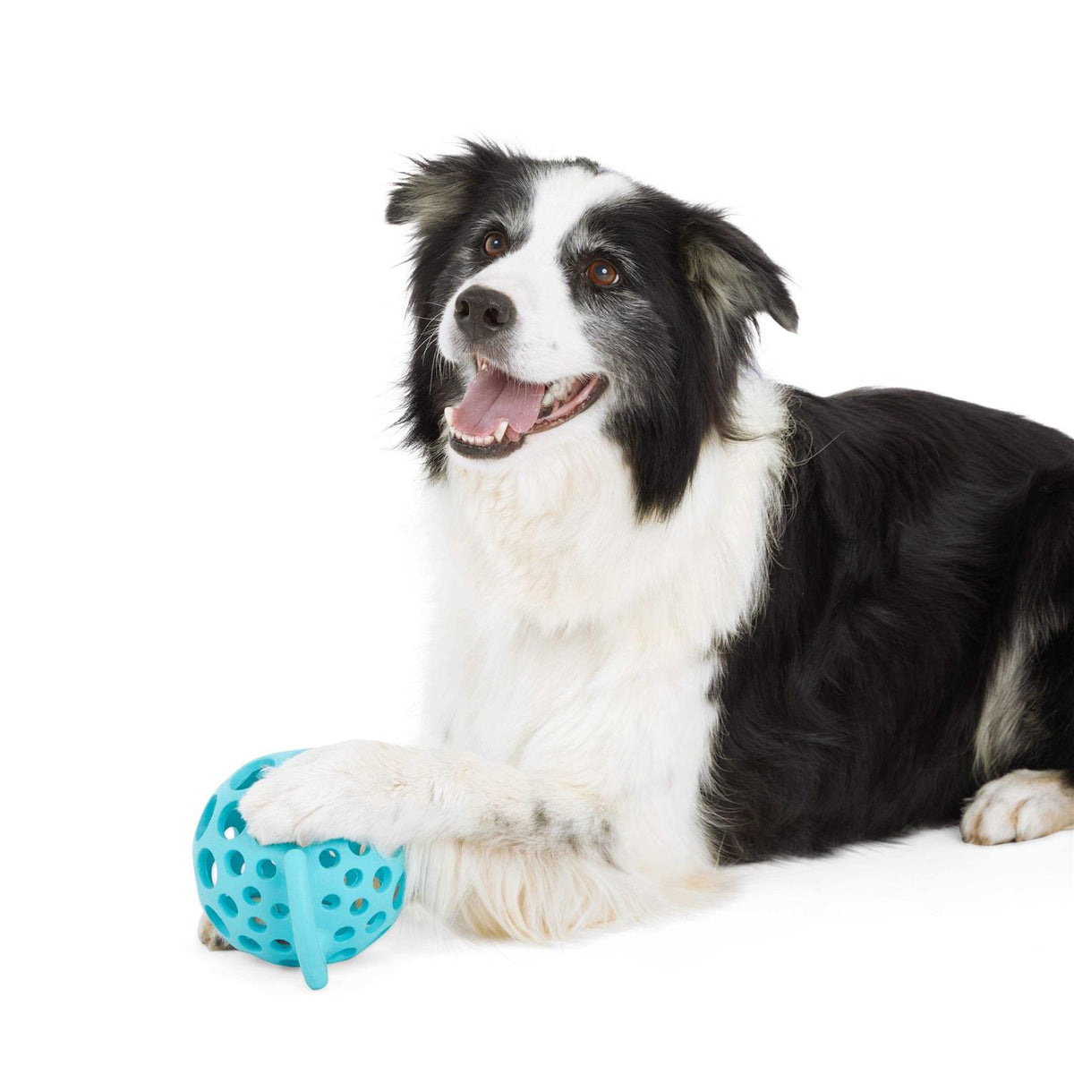 Cage Ball with Handle Dog Toy G8307