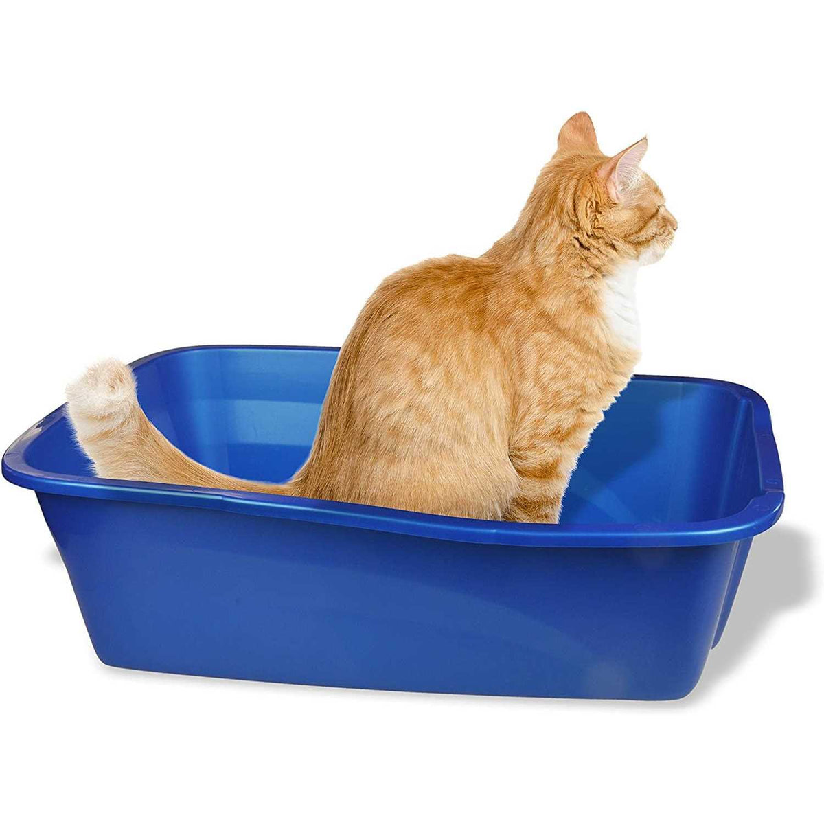 Small Cat Litter Pan U49821