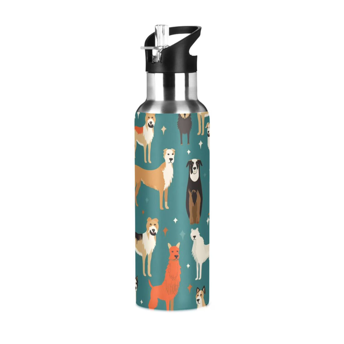 20 oz Insulated Stainless Steel Water Bottle with Straw Lid X5602