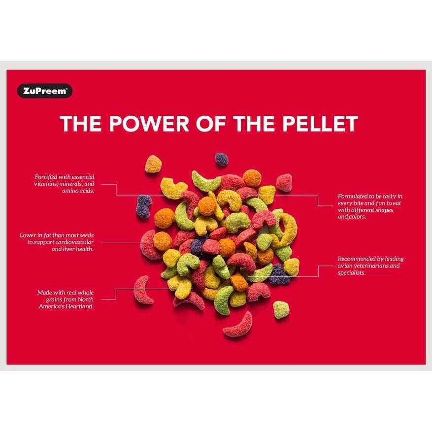 Medium Birds Bird Food K673123