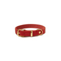 Leather Dog Collar F32596